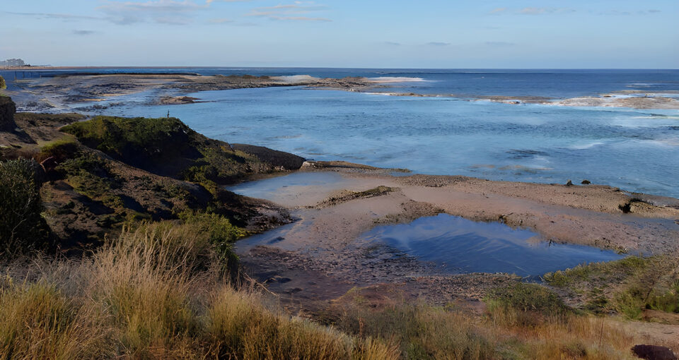 landscape generated by gaugan2