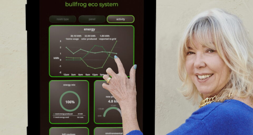 Anuranet co-founder Diane Zuckerman with the Bullfrog energy system