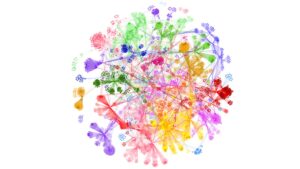 AI for Personalized Health: Startup Advances Precision Medicine for COVID-19, Chronic Diseases