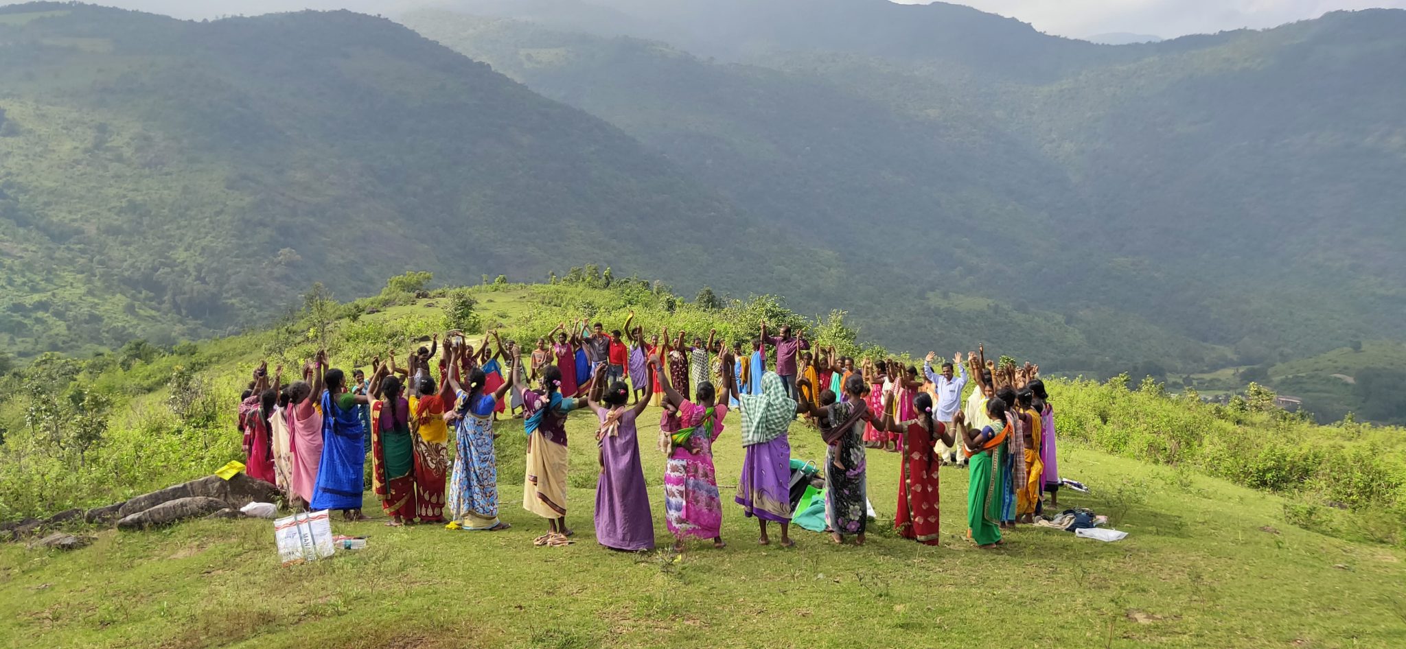 From Sapling to Forest: Five Sustainability and Employment Initiatives We’re Nurturing in India