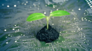 What Is Green Computing?