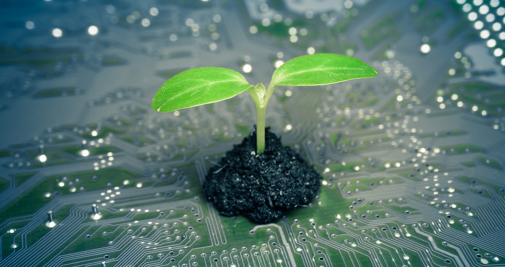 What Is Green Computing?