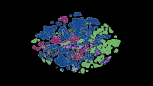 Speaking the Language of the Genome: Gordon Bell Winner Applies Large Language Models to Predict New COVID Variants