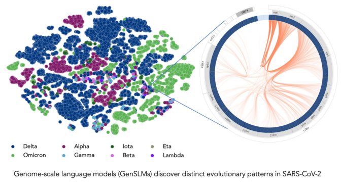 visualization of sequenced covid genomes