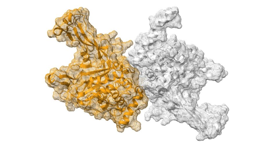 Molecule image courtesy of Qubit Pharmaceuticals