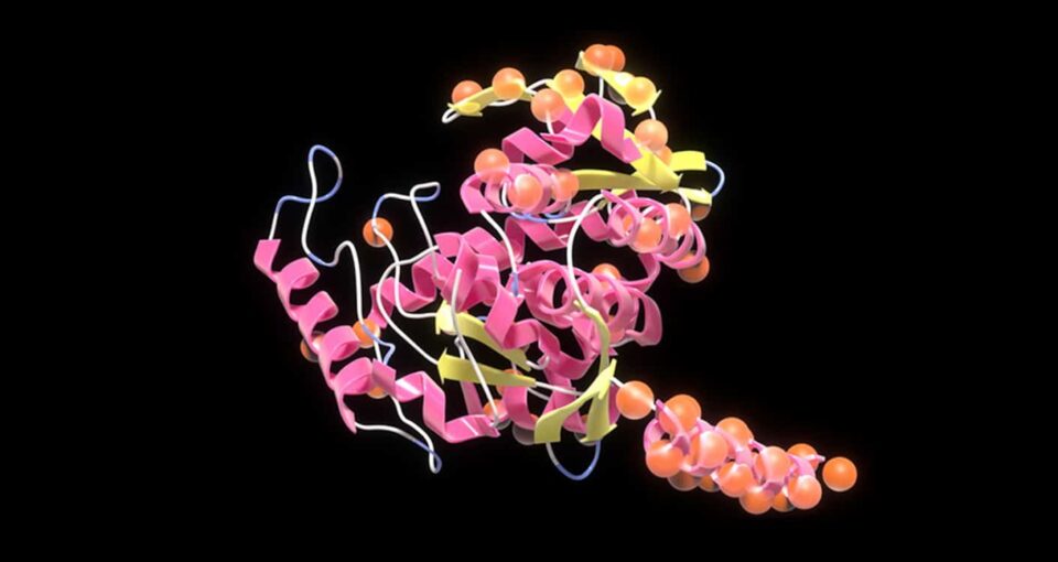 A protein created using Evozyne's ProT-VAE workflow with NVIDIA BioNeMo