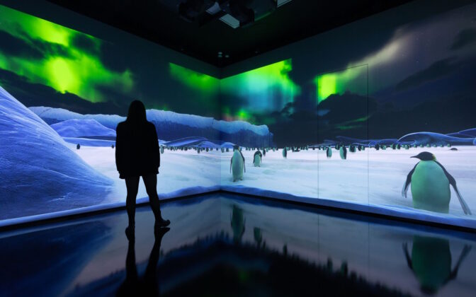 An immersive space in the "Feeding Consciousness" exhibition by Dominic Harris