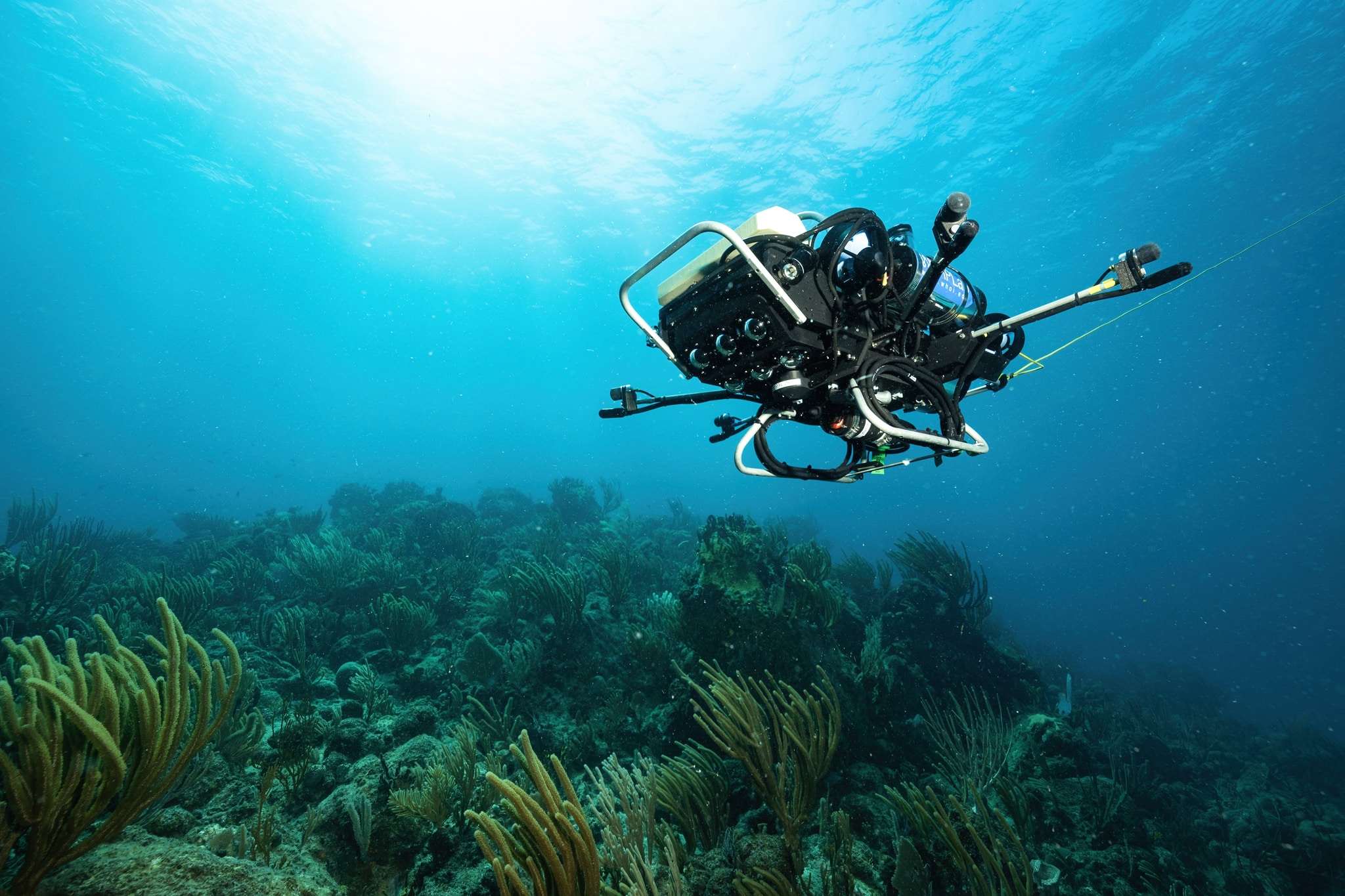 The Impact Of Scuba Diving On Coral Reefs - THRIVE blog
