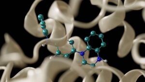 NVIDIA BioNeMo Expands Computer-Aided Drug Discovery With New Foundation Models