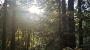 How Basecamp Research Helps Catalog Earth’s Biodiversity