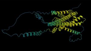 US Healthcare System Deploys AI Agents, From Research to Rounds