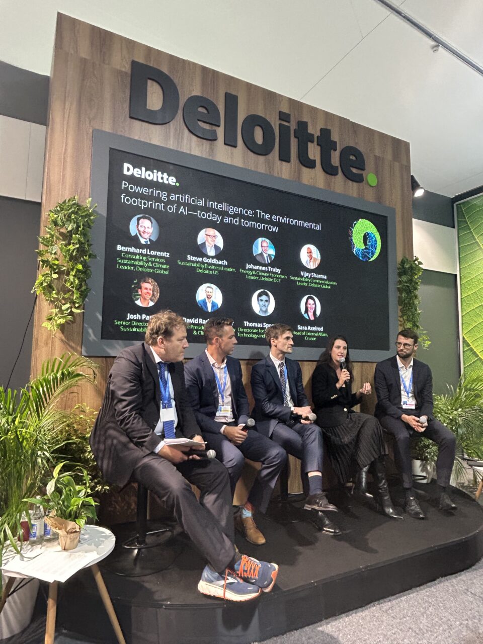 Deloitte panel at COP29