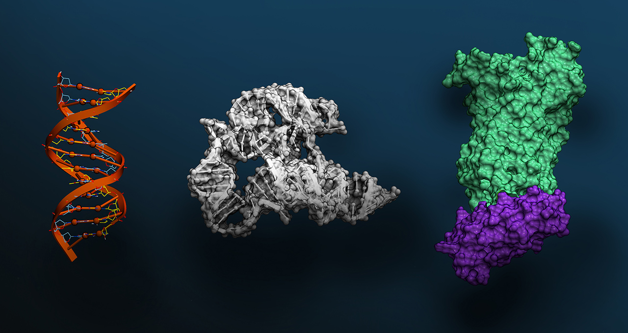 visualization of DNA, RNA, protein data