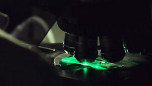 IQVIA and NVIDIA Harmonize to Accelerate Clinical Research and Commercialization With AI Agents