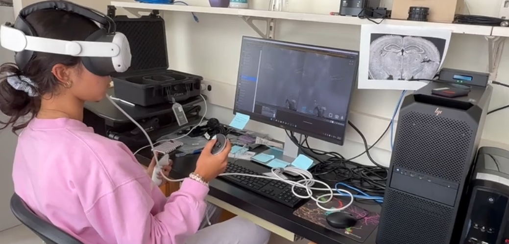 An image of a high school student intern using the syGlass VR headset in the MBL lab to identify protein markers. 
