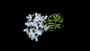How Open Science Can Help Researchers Prepare for the Next Pandemic